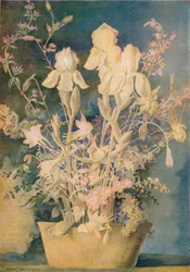 George Sheringhamin kukkamaalaus, 1910-1920, 1936.