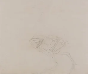 Vertaileva anatominen selvitys ihmiskehon rakenteesta tiikerin ja tavallisen linnun rakenteeseen verrattuna:  Dorking Hen Body, Lateral View (Tutkimus kehon ja raajojen lihaksista myöhemmässä leikkelyn vaiheessa).