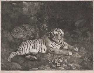Tiikeri ja Nukkuva Leopardi