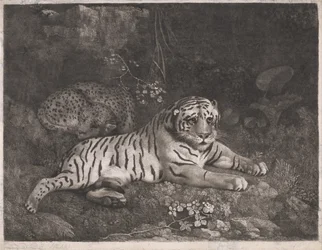Tiikeri ja nukkuva leopardi