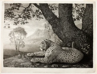 Tyger (makaava leopardi puun vieressä)