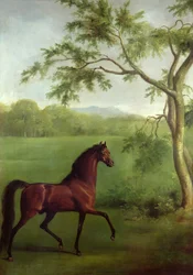 Arabian ori puun alla, n. 1761-63 (öljy kankaalle)