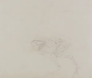 Dorkingin kanan ruumis, sivunäkymä, vertailevasta anatomisesta näyttelystä ihmiskehon rakenteesta tiikerin ja linnun kehon rakenteeseen, 1795-1806 (grafiittia ohuella kudospaperilla)