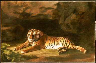 Kuninkaallisen tiikerin muotokuva, n. 1770