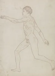 Tutkimus ihmishahmosta, sivuttaisnäkymä, julkaisusta "Vertaileva anatominen esitys ihmiskehon rakenteesta tiikerin ja linnun rakenteeseen", n. 1795-1806 (grafiitti paperille)