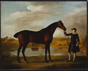 Marlboroughin herttua".