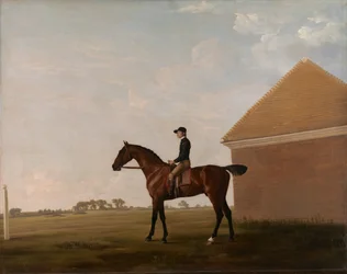 Turf, Jockey ylös, Newmarketissa, n. 1766.
