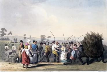 Rapsien puinti, Yorkshiren puvusta kaivertanut Robert Havell (1769-1832) 1814 (käsinvärinen akvatinta)