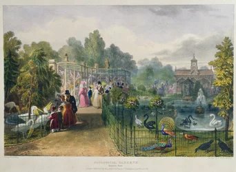 Eläintarhan lintupuisto, Regents Park, kaiverrettu ja pubi. taiteilija, paina Charles Hullmandel (1789-1850), 1836