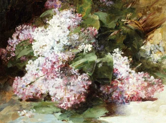 Sipulit. Georges Jeanninin (1841-1925) maalaus Yksityiskokoelma.
