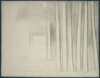 Tree Trunks (tutkimus La Grande Jattelle)