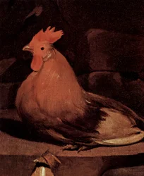 Pietarin katumus