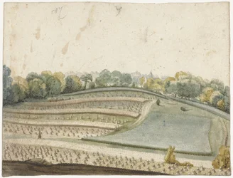 Panoraama aaltoilevasta vehnäpellosta ylhäältä katsottuna