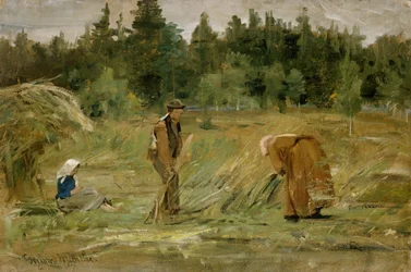 Köyhän miehen pelto