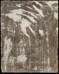 Paimenten palvonta