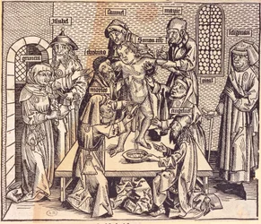 Anatomian oppitunti (kaiverrus)