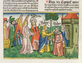 Apokryfikirjat: Tobias palauttaa isänsä Tobitin näön kalan sapella, Nürnbergin Raamatusta (Biblia Sacra Germanica)