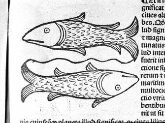 Les Pisces - Johannes Angelon tutkielmassa Augsburg, Erhard Ratdolt