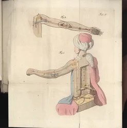 Levy V, julkaisusta Tietoja herra von Kempelenin shakinpelaajasta ja hänen kopiostaan, julkaisija Joseph Friedrich Freiherr von Racknitz, Leipzig ja Dresden: Joh. Gottl. Breitkopf, 1789 (värikaiverrus