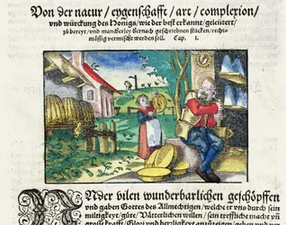 Hunajan parantava ja terapeuttinen käyttö lääketieteessä, esimerkki saksalaisesta lääkkeitä käsittelevästä tutkielmasta, joka julkaistiin Strasbourgissa vuonna 1573 (värillinen puupiirros)