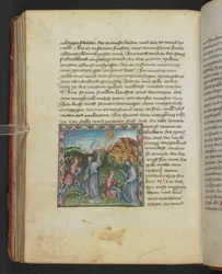 Ulrich von Pottenstein, The Book of Natural Wisdom, Egerton MS 1121 f.114v, n. 1430 (muste ja väri pergamentilla)