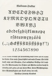 Walbaumin murtuma