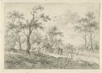 Metsäinen maisema, jossa nainen ja poika