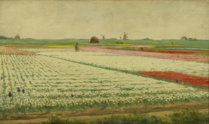 Tulppaanikentät