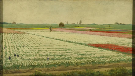 Tulppaanikentät