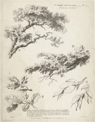Lehtien oksien tutkimus 1er Cahier de paysage (sarjan nimi)