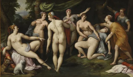 Diana saa tietää Calliston raskaudesta
