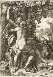 Angelica ja Medoro