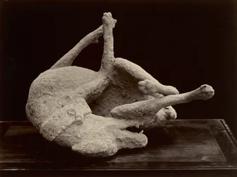 Koira, Pompeji, noin 1870