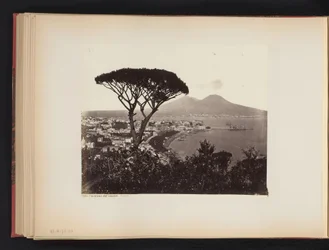 Näkymä Napoliin, Italiaan, mänty etualalla Panorama Valley Vomero Napoli (otsikko esineessä)