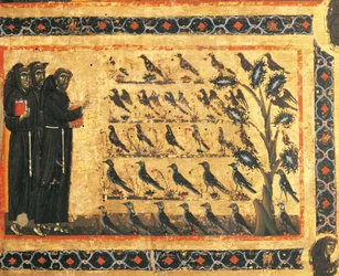 Pyhän Franciscuksen tarinoita: Pyhä Franciscus saarnaa linnuille, Giotton (1267-1337) fresko, noin 1325. Vernion Bardi-kappeli, Santa Crocen basilika, Firenze, Italia