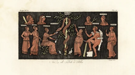 Herakles 11. työssään ottamalla kultaisia omenoita käärme Ladonin vartioimasta Hesperides-puutarhasta