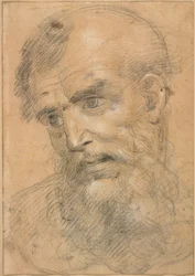 Parrakkaan miehen pää (etusivu); Study for a sacra conversazione (kääntöpuoli).