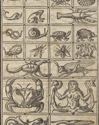Esimerkki recammista, sivu 11 recto, 1530.