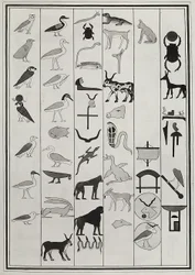 Piirustukset farao Psammetic I haudan sisältä olevista koristeista, Giovanni Battista Belzonin vuonna 1817 jäljentämä, Lontoon British Museumissa
