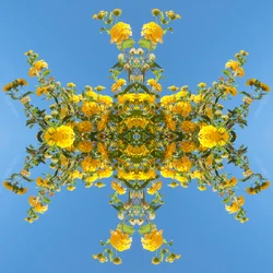 Unnatural 193 (digitaalisesti manipuloitu valokuva)