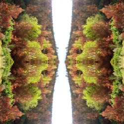 Unnatural 77 (digitaalisesti manipuloitu valokuva)