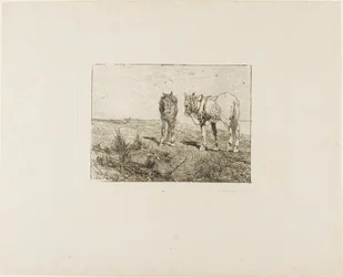 Hevosten lepo