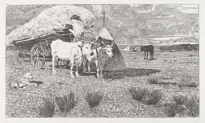 Härät kärryyn (Maremma) [Bovi al carro (Maremma)]