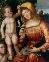 Ompeli Madonna