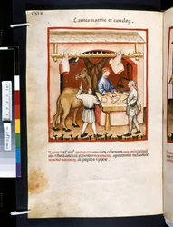 Ububchasym de Baldachin Theatrum sanitatis: "Carnes Va cinae et Camelorum", 1300-luvun ensimmäinen vuosikymmen (pienoiskuva).