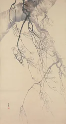 Kirsikankukat, 1700-luku.