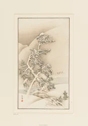 Woodblock print-Puita lumessa