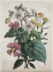 Luonnonhistorian kurssi, joka sisältää eläinkunnan päälajit..., 1825.