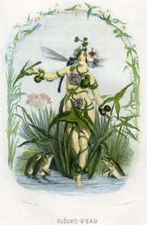 Kuvitus 