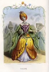 Kuvitus 